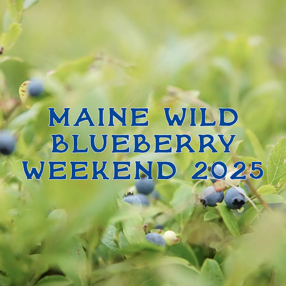 Maine Wild Blueberry Weekend 2025