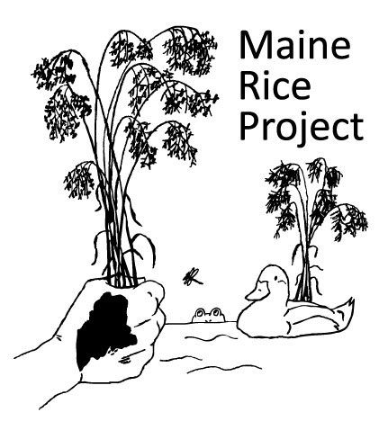 20150403085824-Maine-Rice-Project-logo_full
